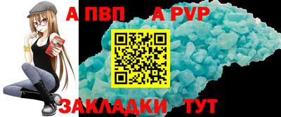 прущие крисы Кингисепп