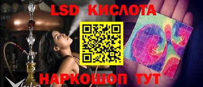 прущие крисы Кингисепп
