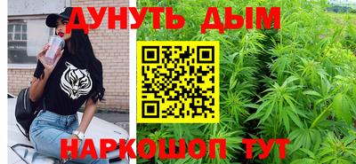 прущие крисы Кингисепп
