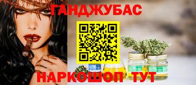 прущие крисы Кингисепп