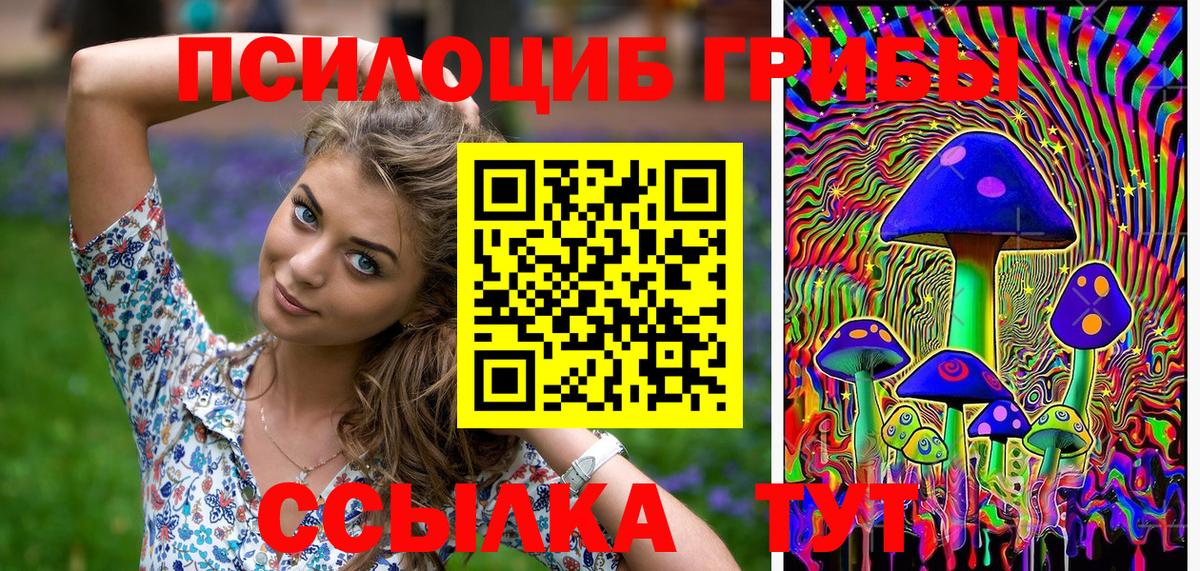 Галлюциногенные грибы Psilocybe  Псилоцибиновые грибы мухоморы  Красногорск  купить наркотик  Вход с VPN 